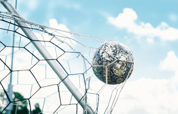 Football net and ball